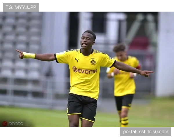 多特蒙德前锋穆科科伤愈归队，已参与全队压迫战术合练