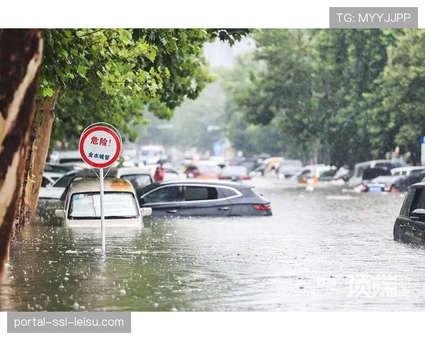 突发事件：弗罗西诺内主场因暴雨积水，比赛延期至次日